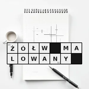 Hasło krzyżówkowe żółw barwny - żółw malowany – rozwiązanie, synonimy, podpowiedzi i definicje krzyżówkowe